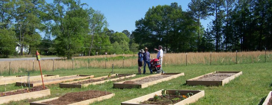 Community Garden Plots Available