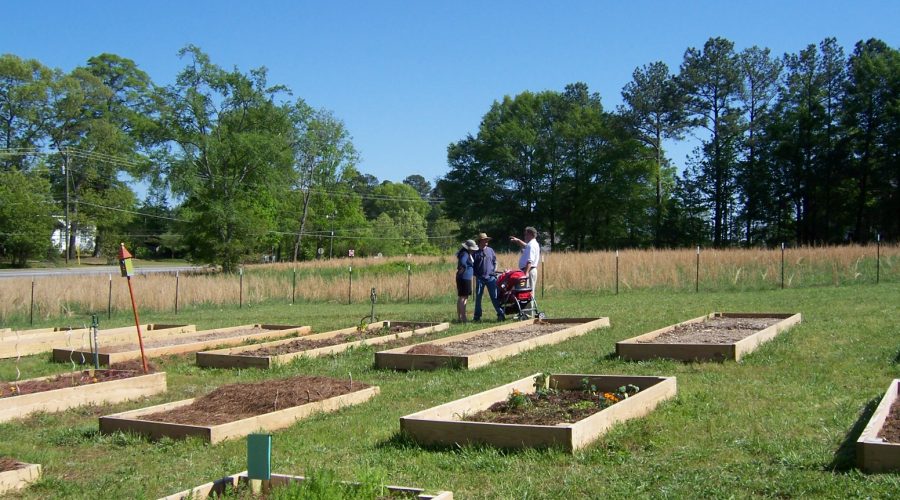 Community Garden Plots Available