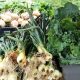 MIC Farmers Market Opens June 7th