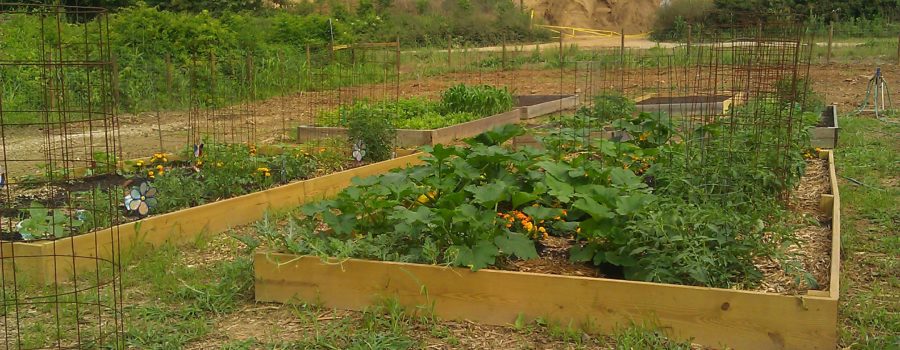 Mableton Community Garden is Ready for a New Season