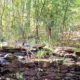 Planning Meeting for New Cobb County Park in Mableton