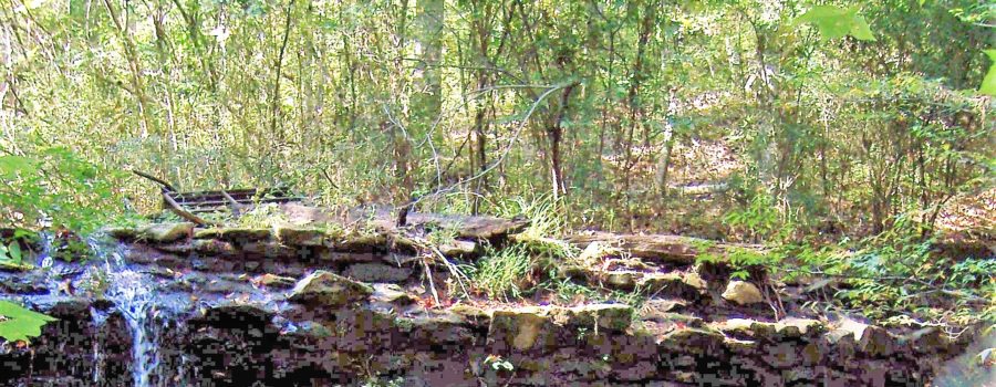 Planning Meeting for New Cobb County Park in Mableton