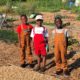Urban AgriKids at the Historic Mableton Community Garden
