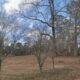 Zoning Application – 7 Oaks Stables (Z-79)