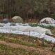 Zoning Application – LUP-3 (2023) Our Giving Garden