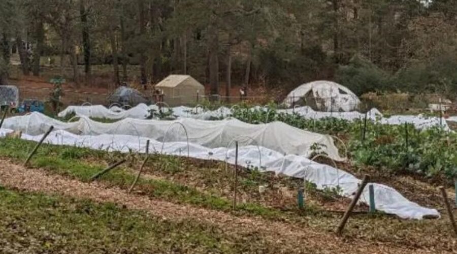 Zoning Application – LUP-3 (2023) Our Giving Garden
